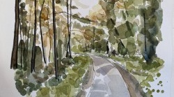 Ink & Watercolour